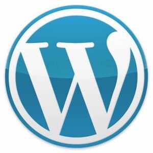 WordPress Themes/Plugins